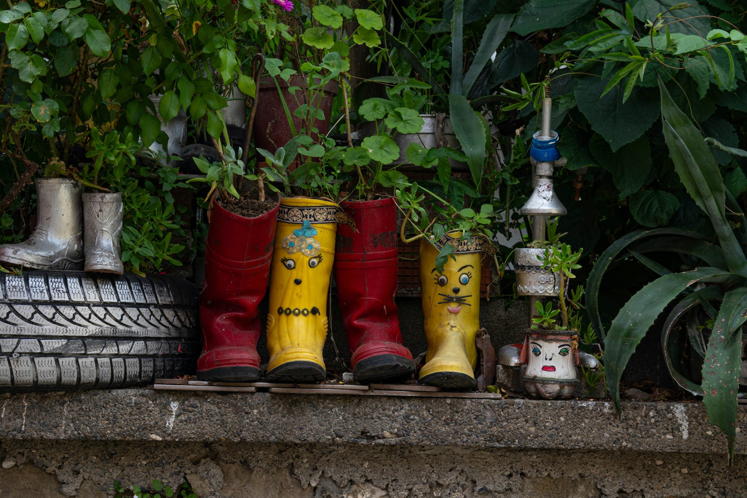 Colorful boots repurposed as planters with green foliage