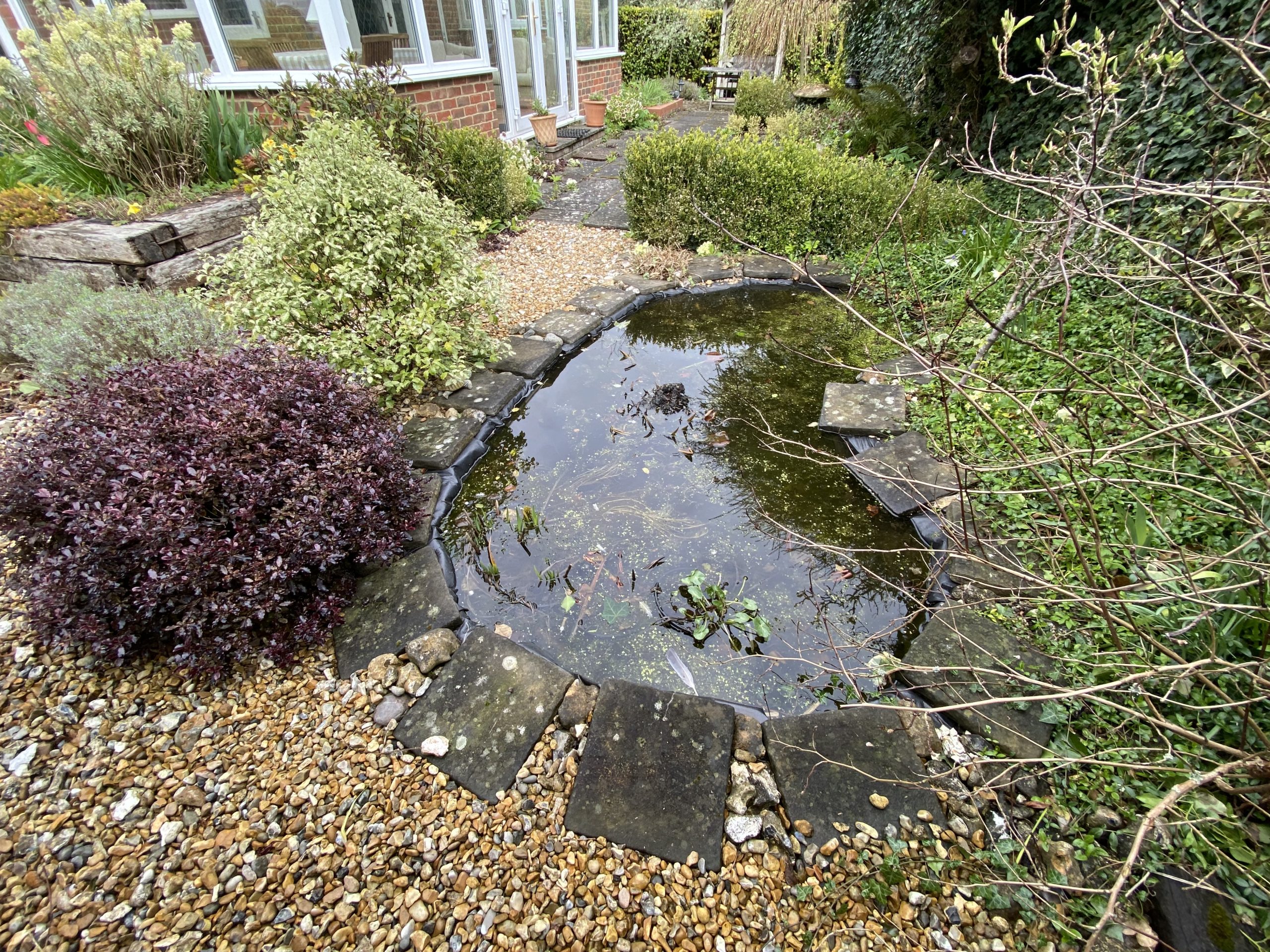Creating a Garden Pond | Local Surveyors Direct