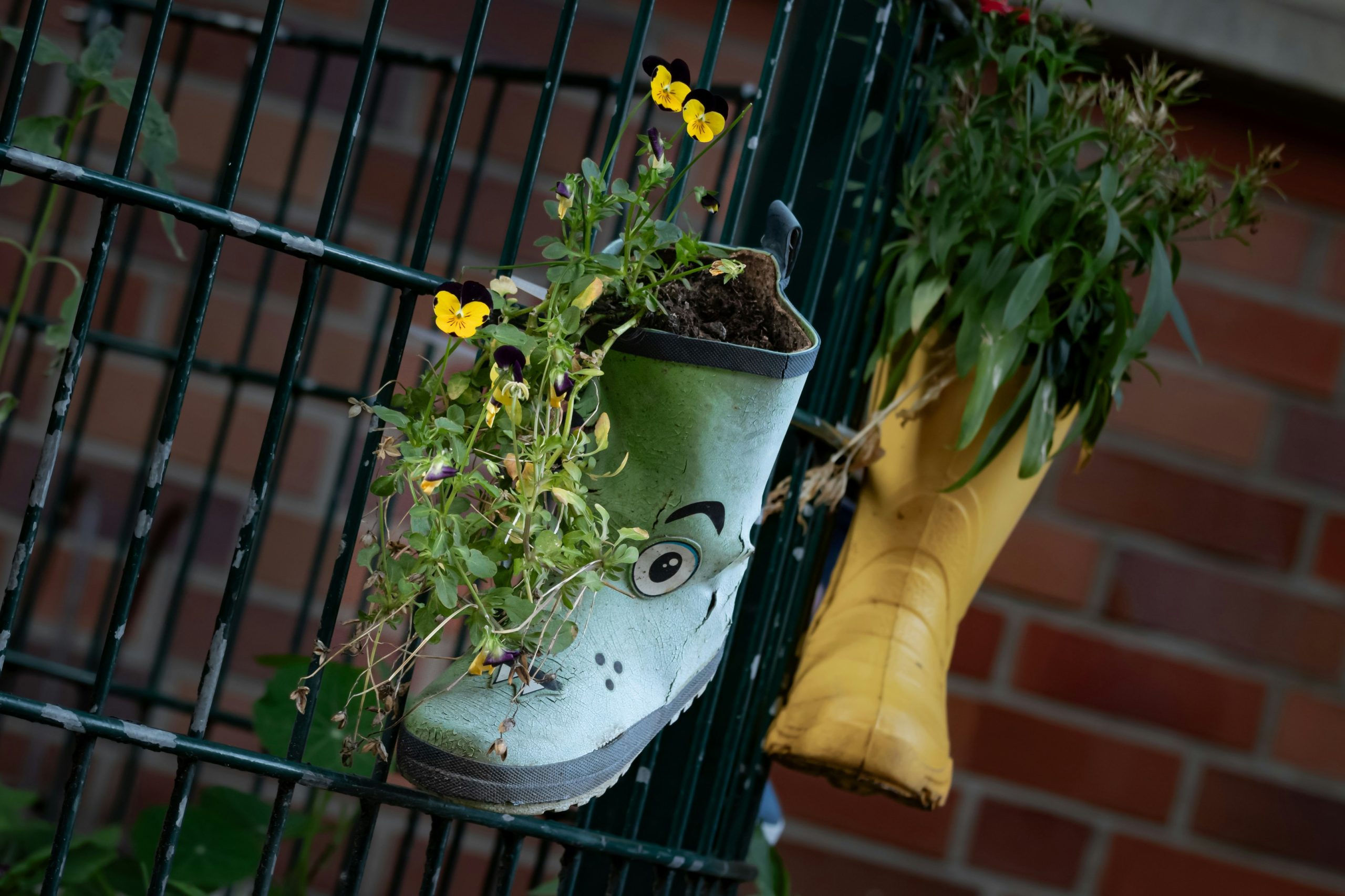 Creative planters: rubber boots hanging on a fence with flowers