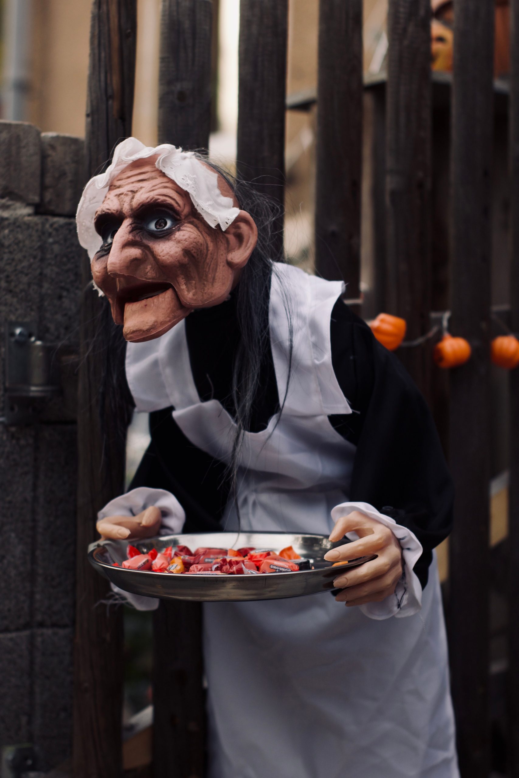 Creepy Halloween witch decoration with tray of candy, set in Zwickau, Germany.