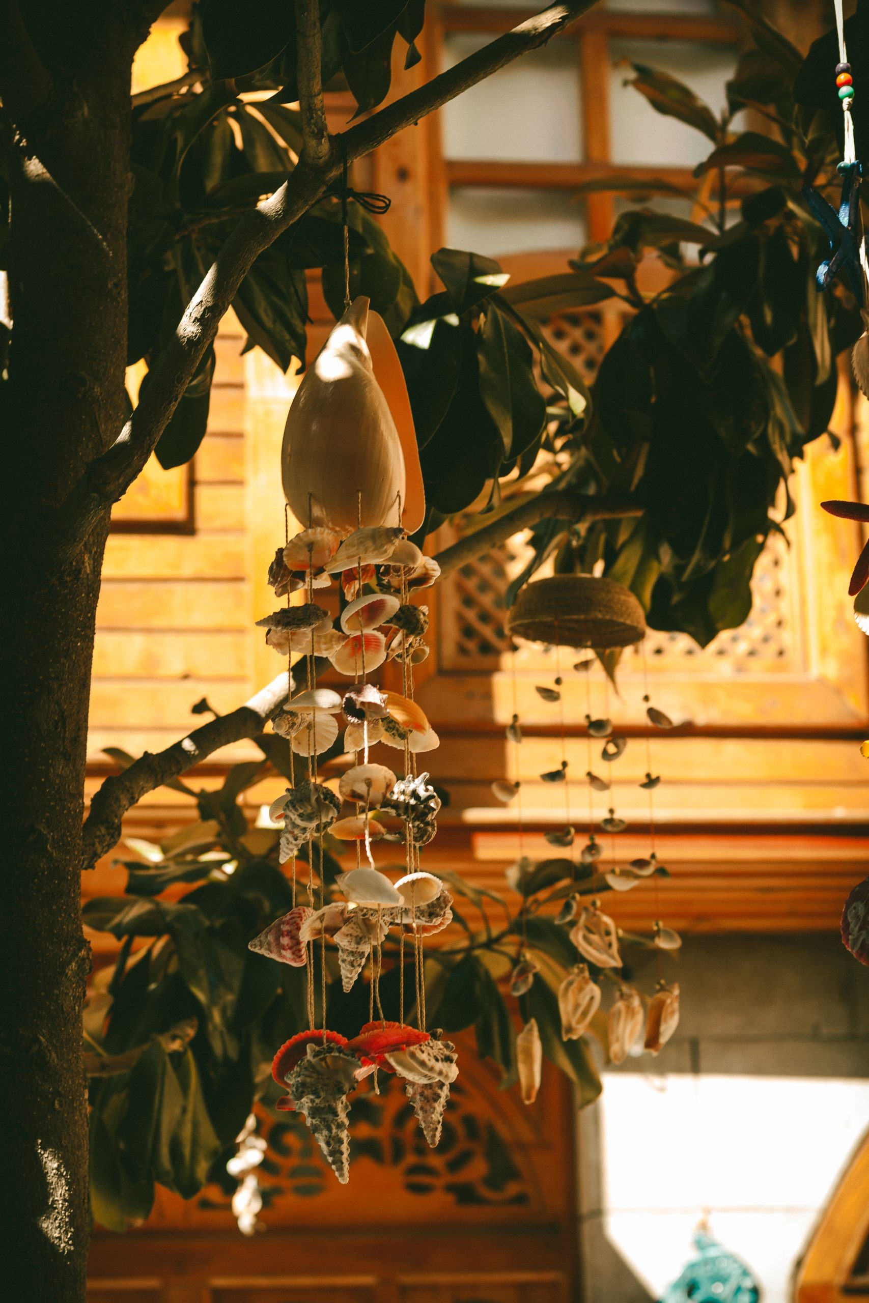 Decorative seashell wind chimes hanging in a sunlit garden, casting beautiful shadows.
