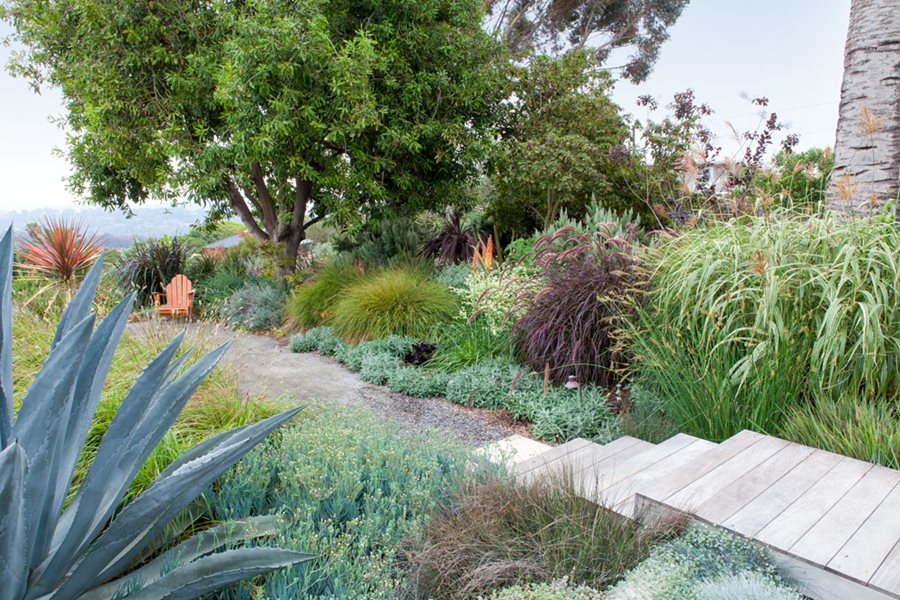 Drought Tolerant Landscaping Ideas | Garden Design