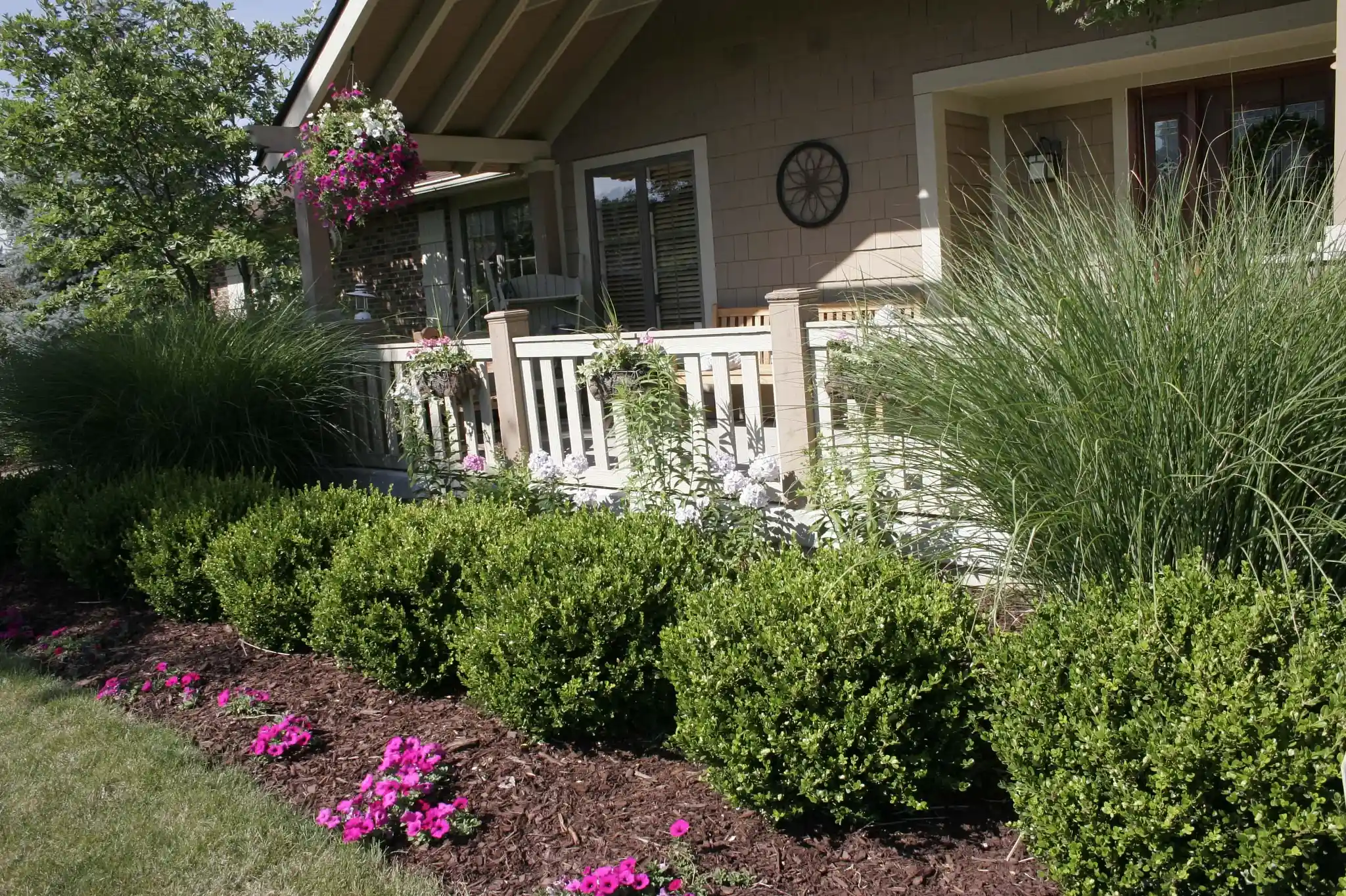 Easy-Care Shrubs for Your Yard & Landscape | ScottsMiracle-Gro US