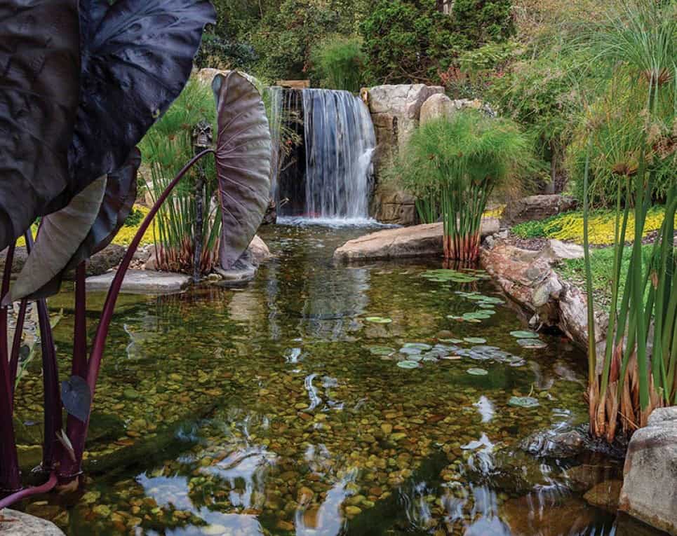 Finishing Touches on The Oasis - POND Trade Magazine