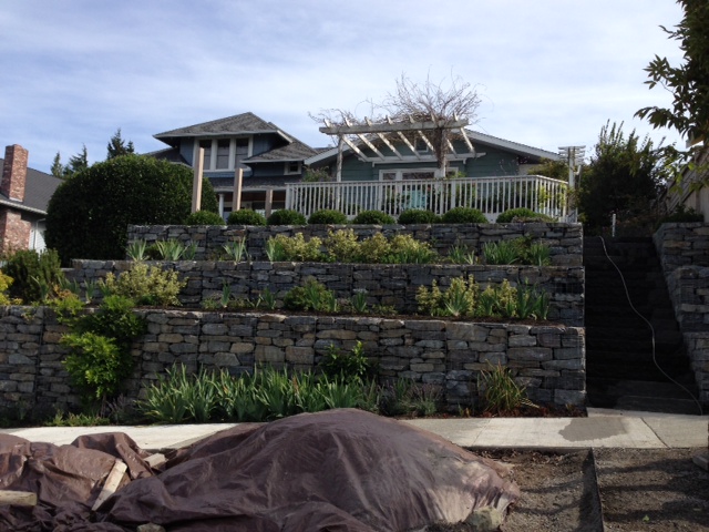 gabion walls | Brooks Kolb LLC - Seattle Landscape Architecture