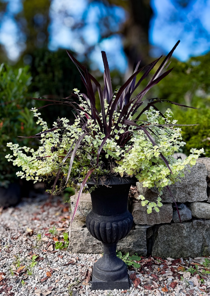 Garden Design | Garden Foreplay
