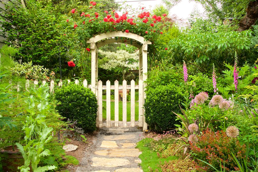 Garden Pathways: Tips and Ideas for Function & Beauty | Garden Design