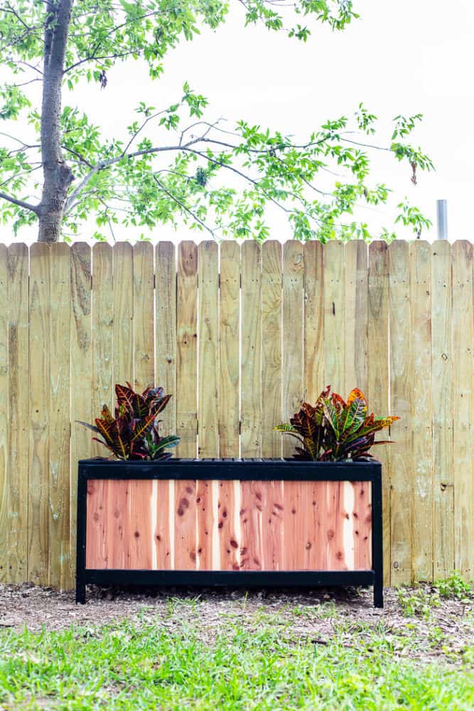 Gorgeous DIY Cedar Planter Bench - Love & Renovations