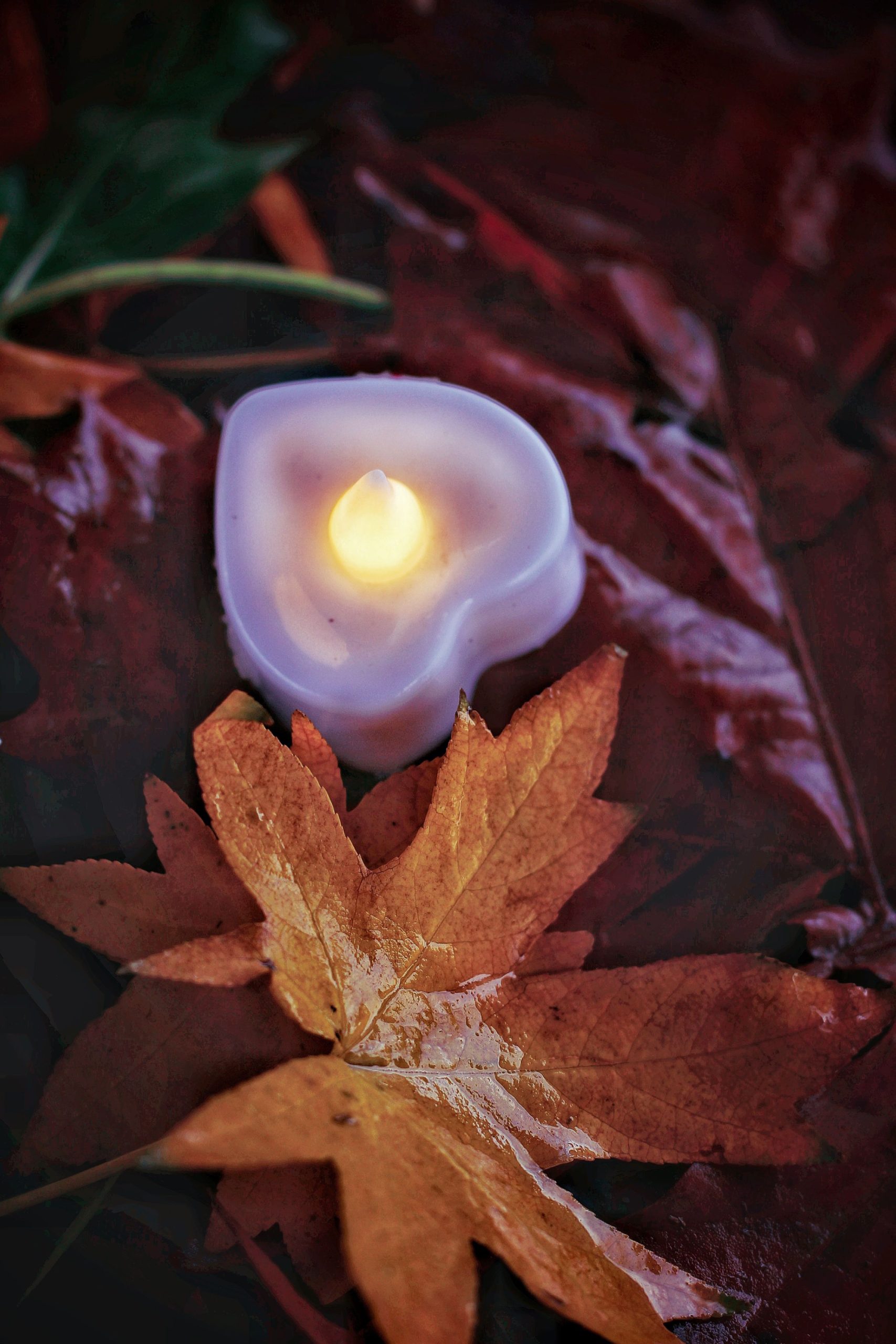 Heart-shaped candle illuminates vibrant autumn leaves, creating a cozy ambiance.
