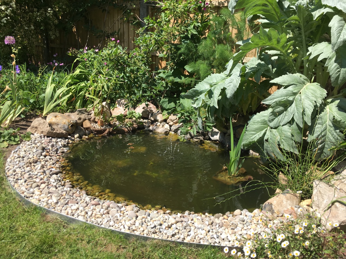 How To Build A Wildlife Pond :: Part 2 – the small gardener
