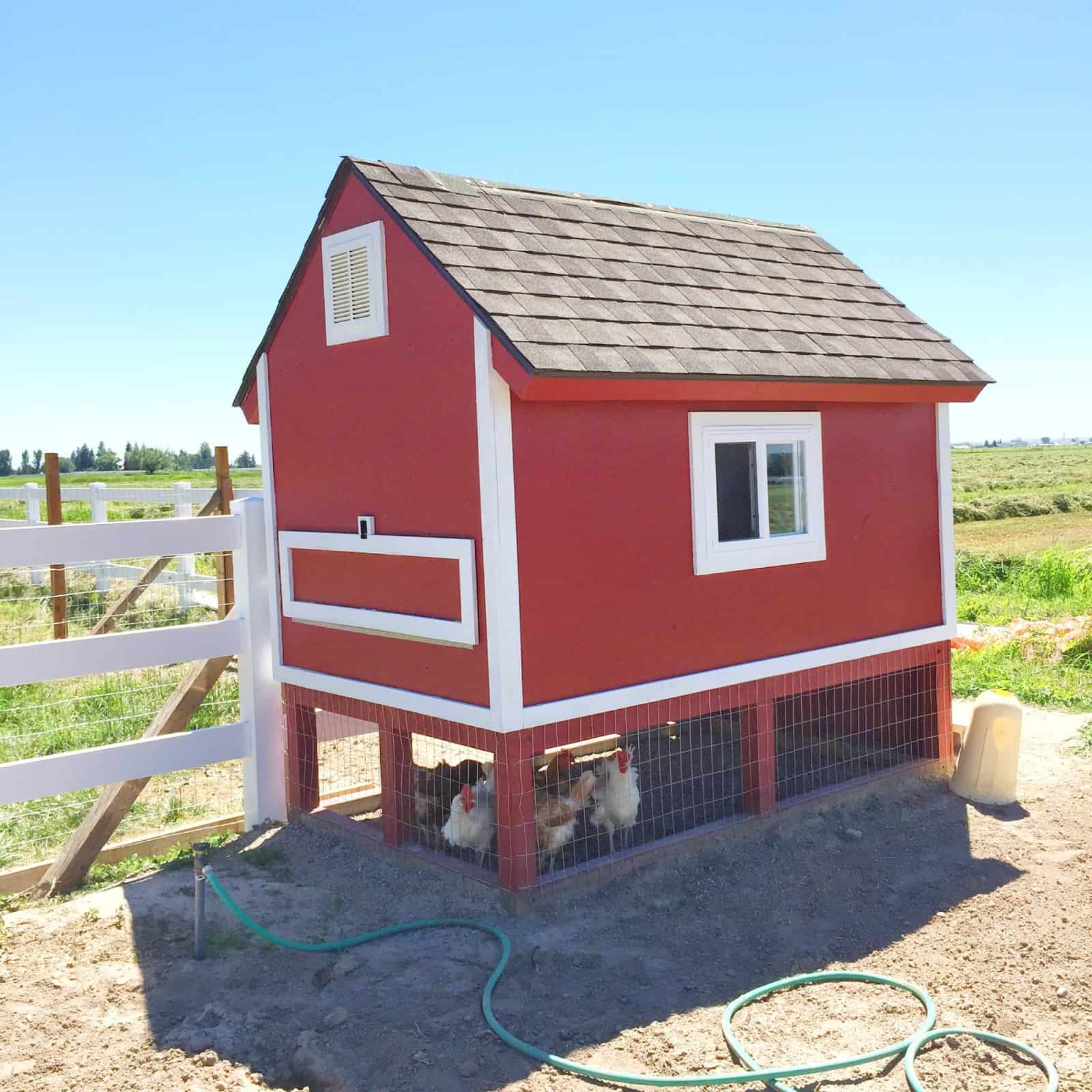 How to Build Chicken Coops