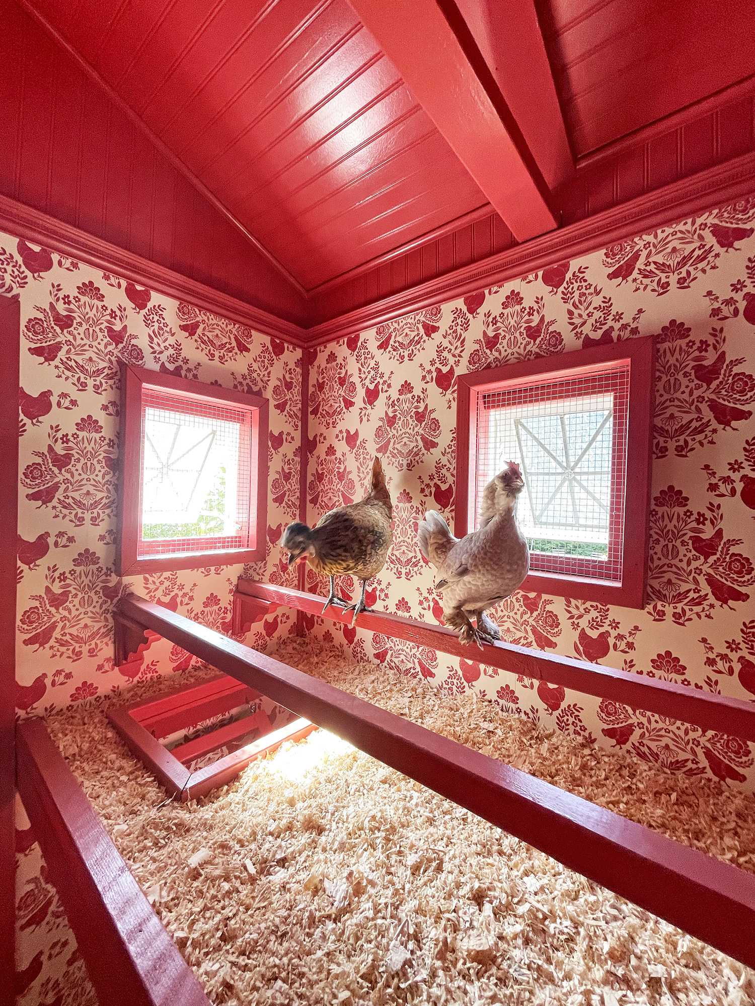 How to Design the Chicest Chicken Coop in Your Backyard – Sunset Magazine
