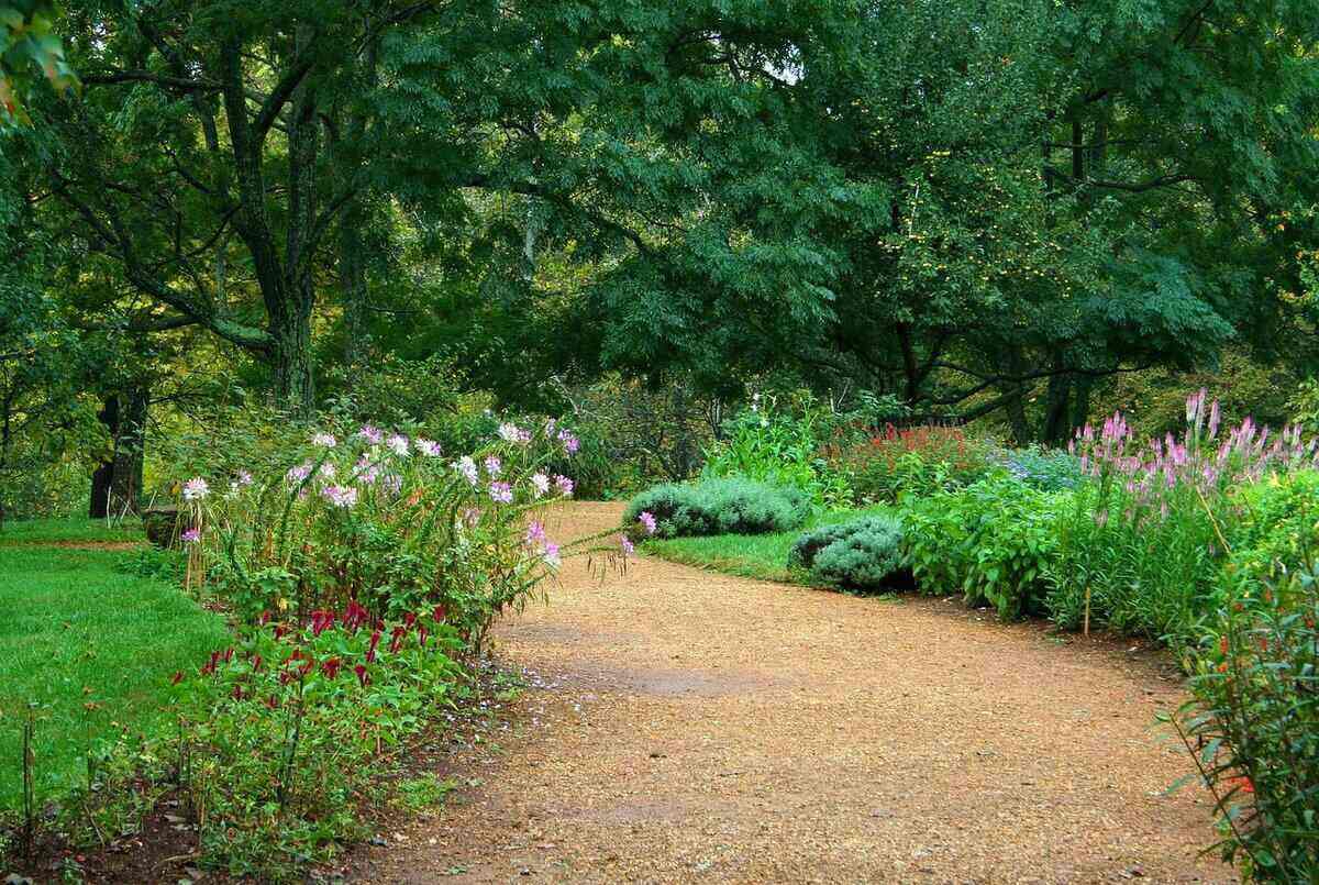 How to landscape with shrubs