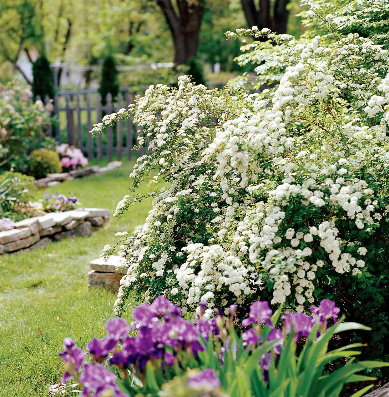 How to Pick the Best Bushes and Shrubs for Landscaping Your Yard