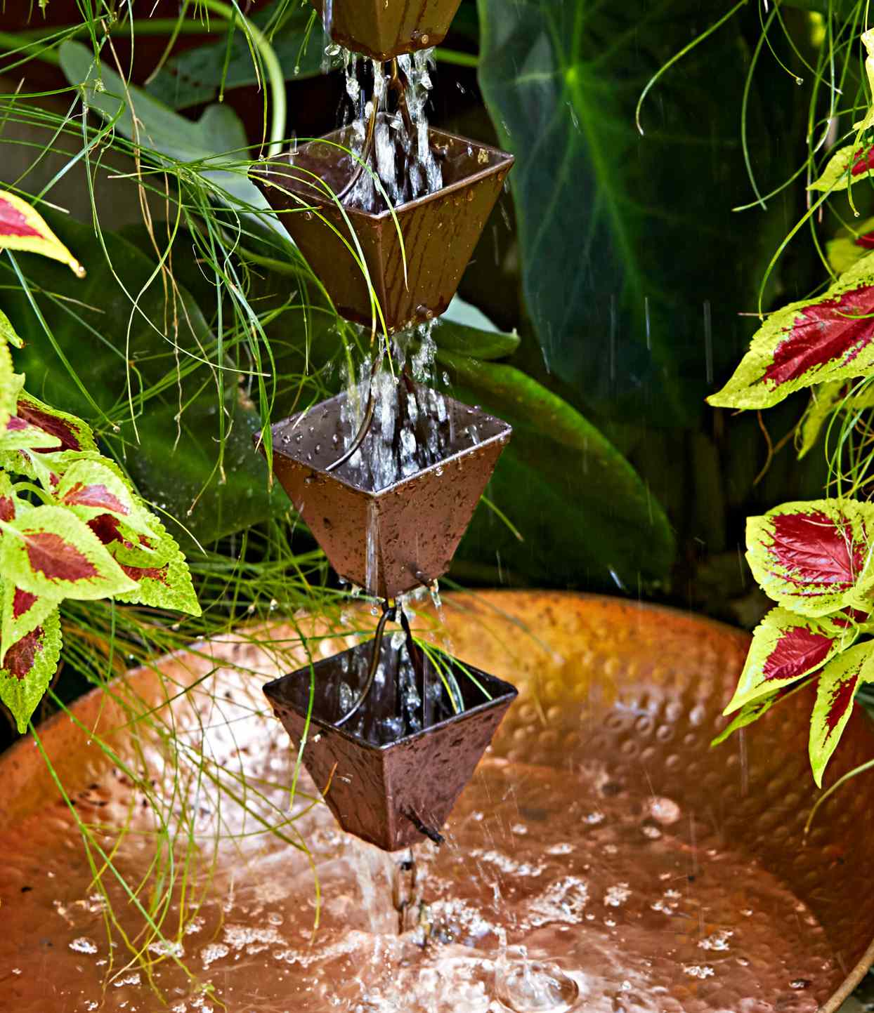 How to Plant a Rain Garden