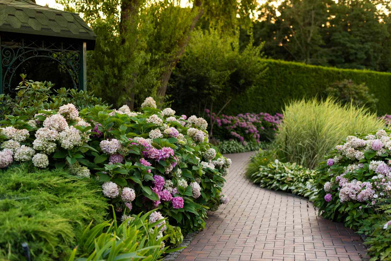 If You Plant One Low-Maintenance Shrub This Year, Experts Suggest This Colorful Favorite