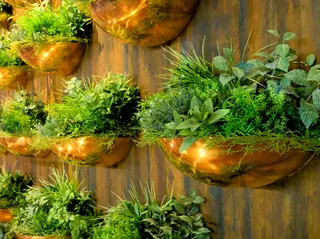 Innovative Vertical Garden Designs for Your Space