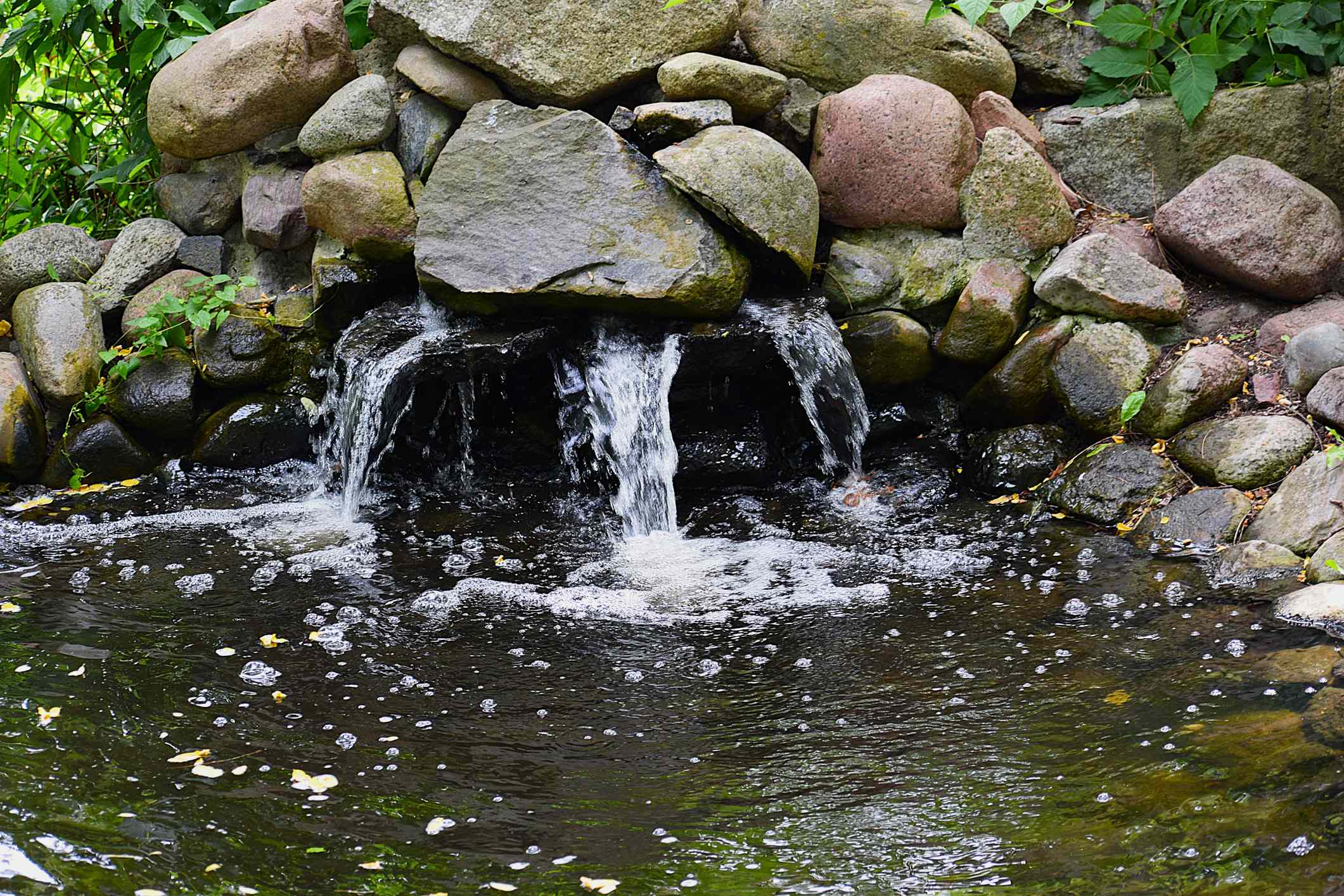 Not Every Yard Should (or Can) Have a Water Feature—Landscaping Pros Share Why