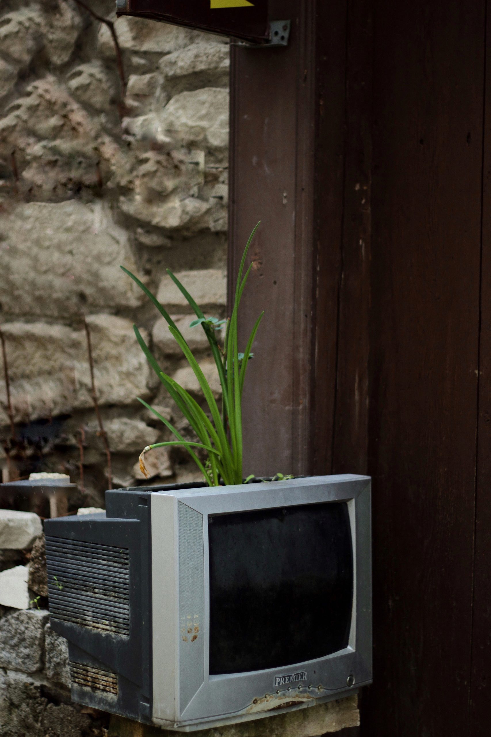 Old CRT television set repurposed as a plant pot against a rustic wall featuring vibrant greenery.