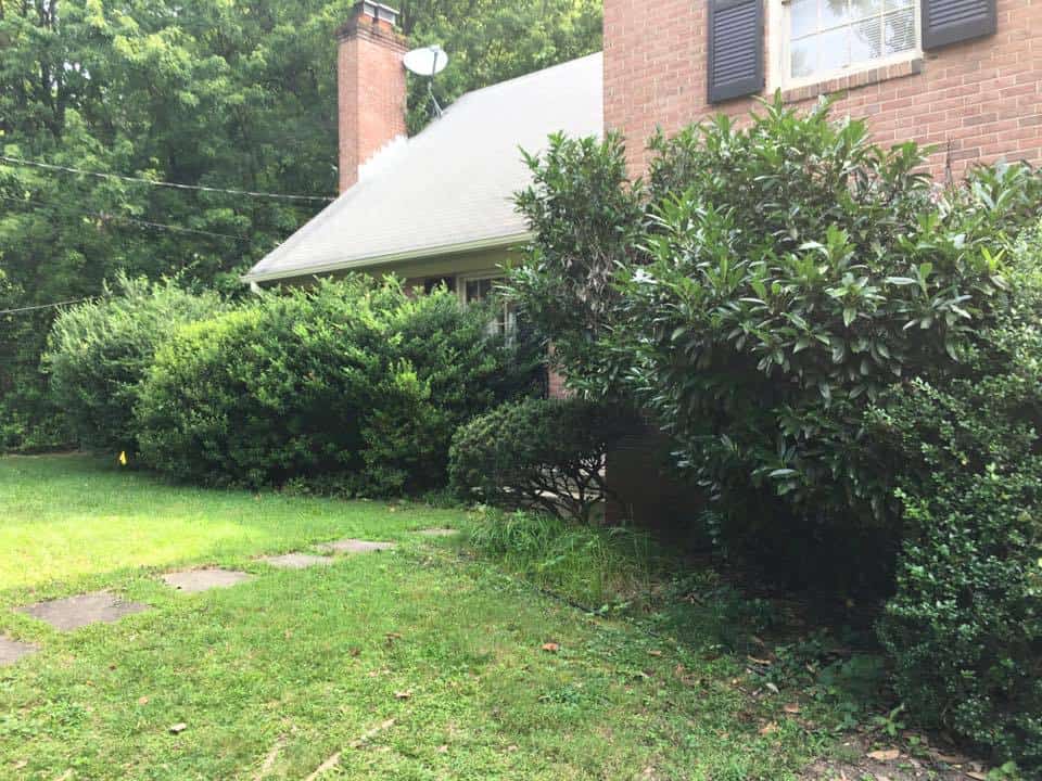 Our Top 6 Replacements for Your Overgrown Shrubs - Landscape Design, Installation, Maintenance and Native Plant Nursery | Lauren's Garden Service