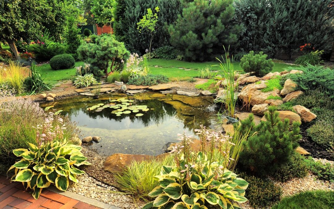 Outdoor Pond Design & Installation Contractors | Cromwell, CT | Normal Aquatics - Custom Aquariums & Ponds Install, Maintenance & Repair CT, NY