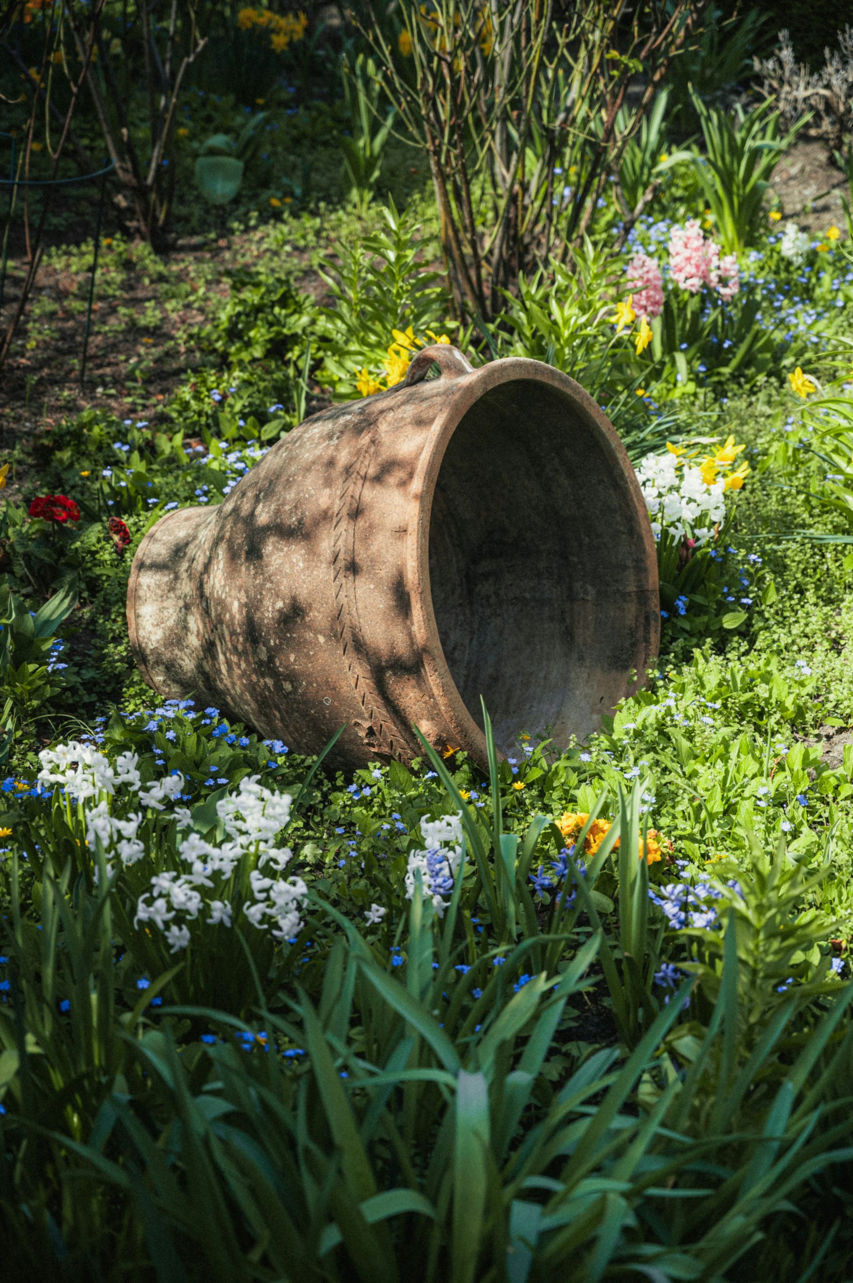 Overturned pot surrounded by wildflowers