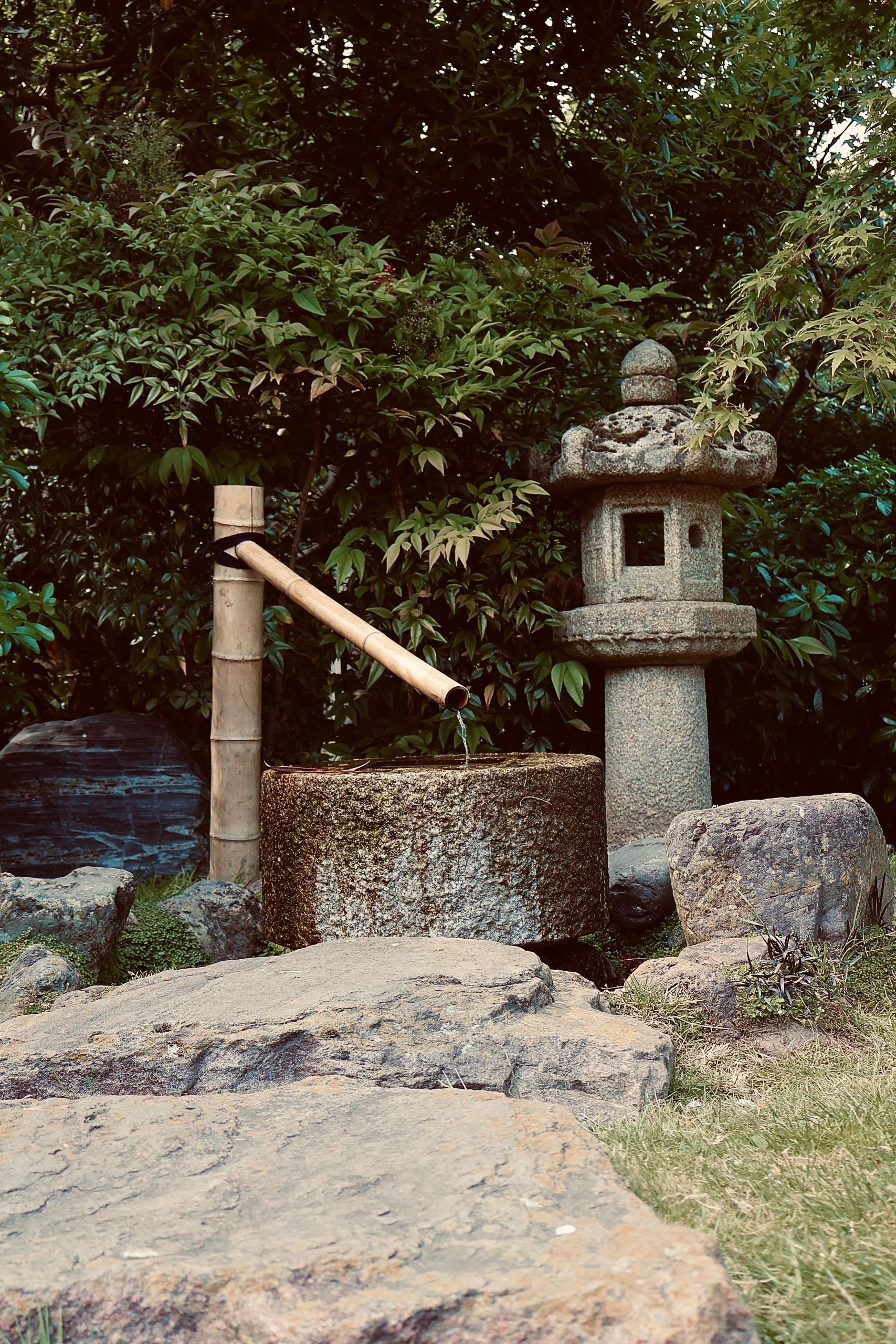 Peaceful Japanese garden featuring a stone lantern and traditional tsukubai water feature.