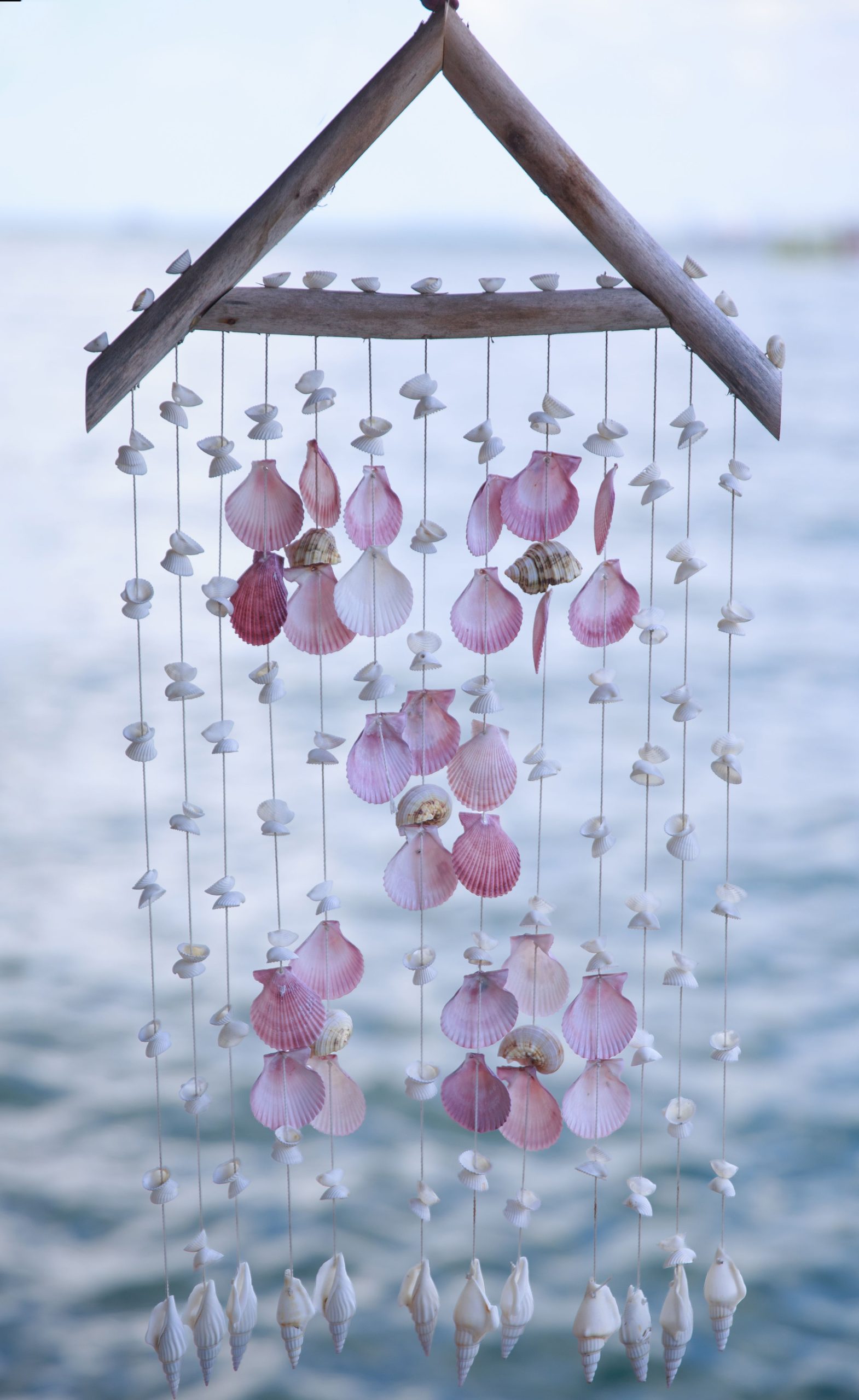 Pink and white seashell wind chime hanging against blue ocean backdrop.