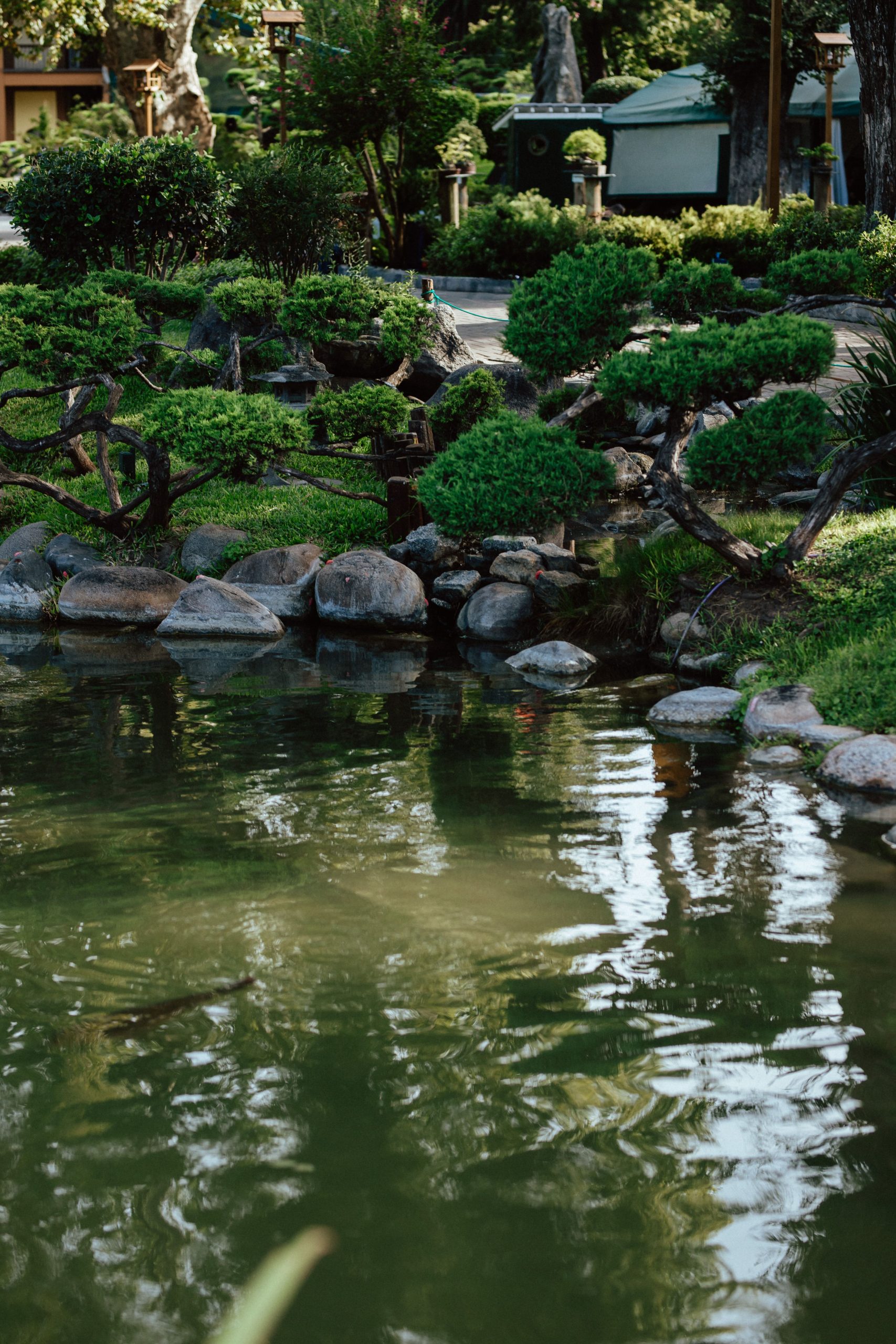 Serene Japanese garden pond with lush greenery and rocks reflecting in the water.