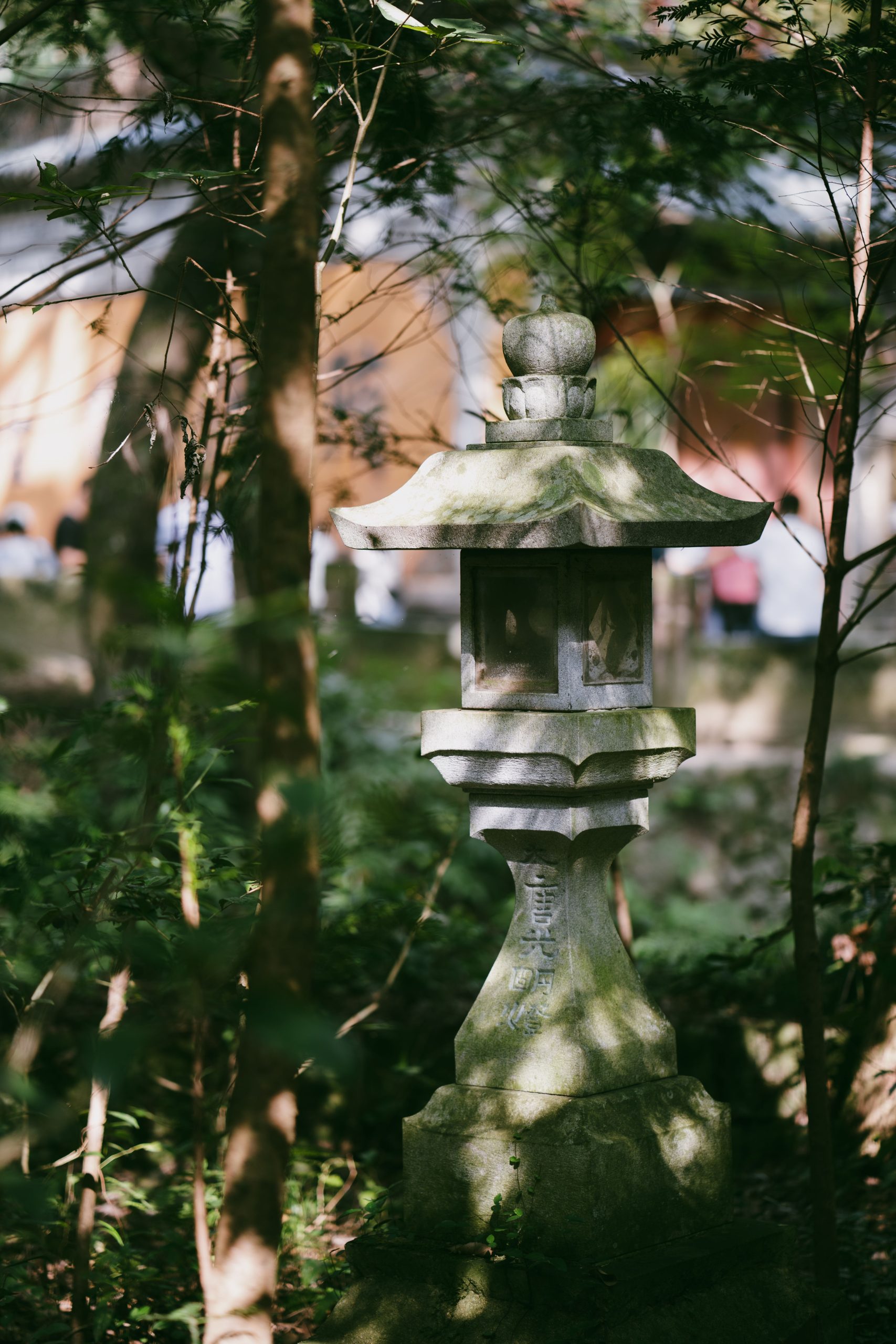 Serene traditional Japanese stone lantern among lush green foliage in a tranquil garden.