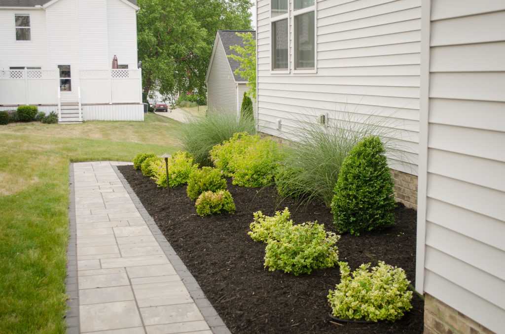 Shrubs for a Standout Landscape - Graf Growers