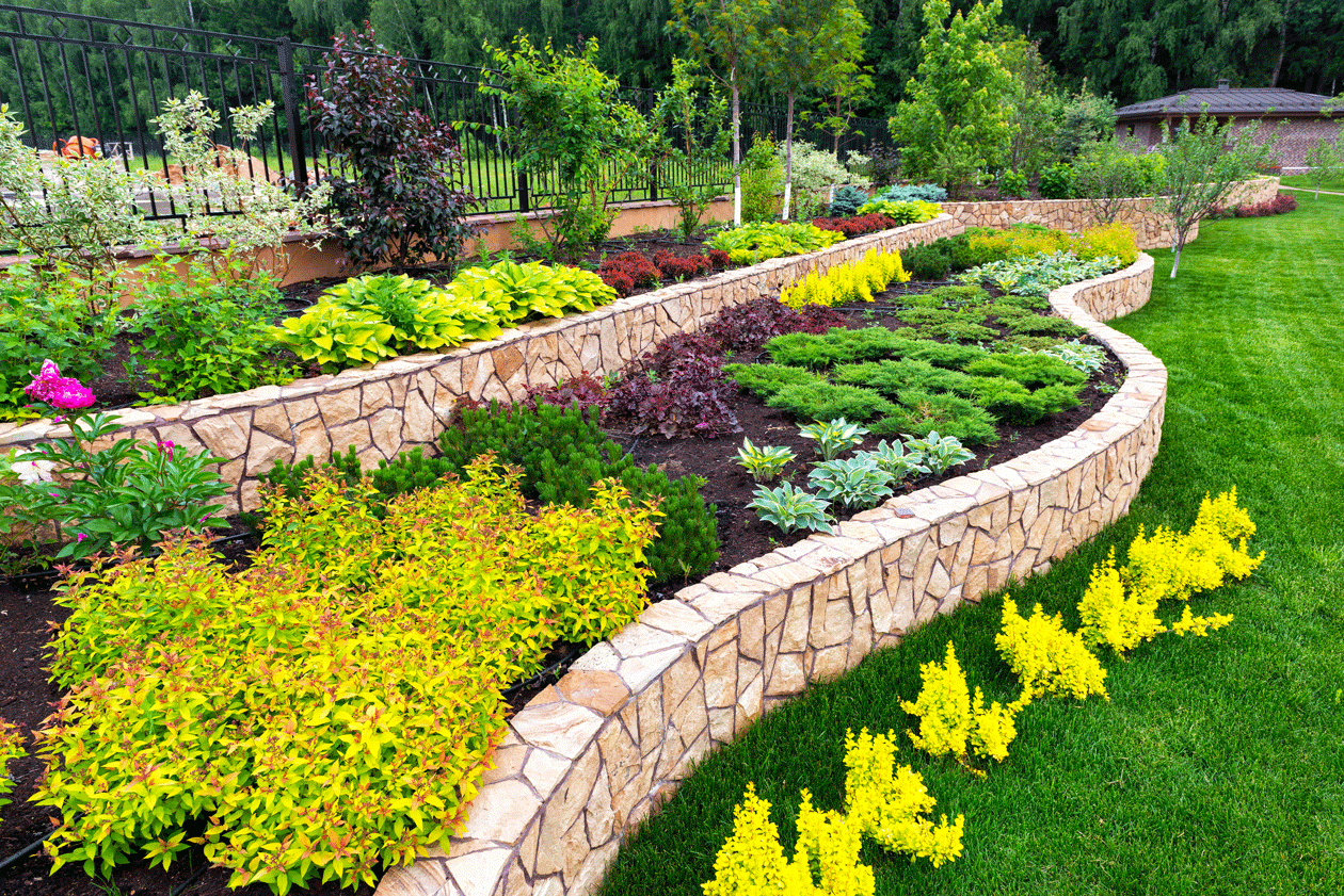 Shrubs Montreal - Sources Inc.