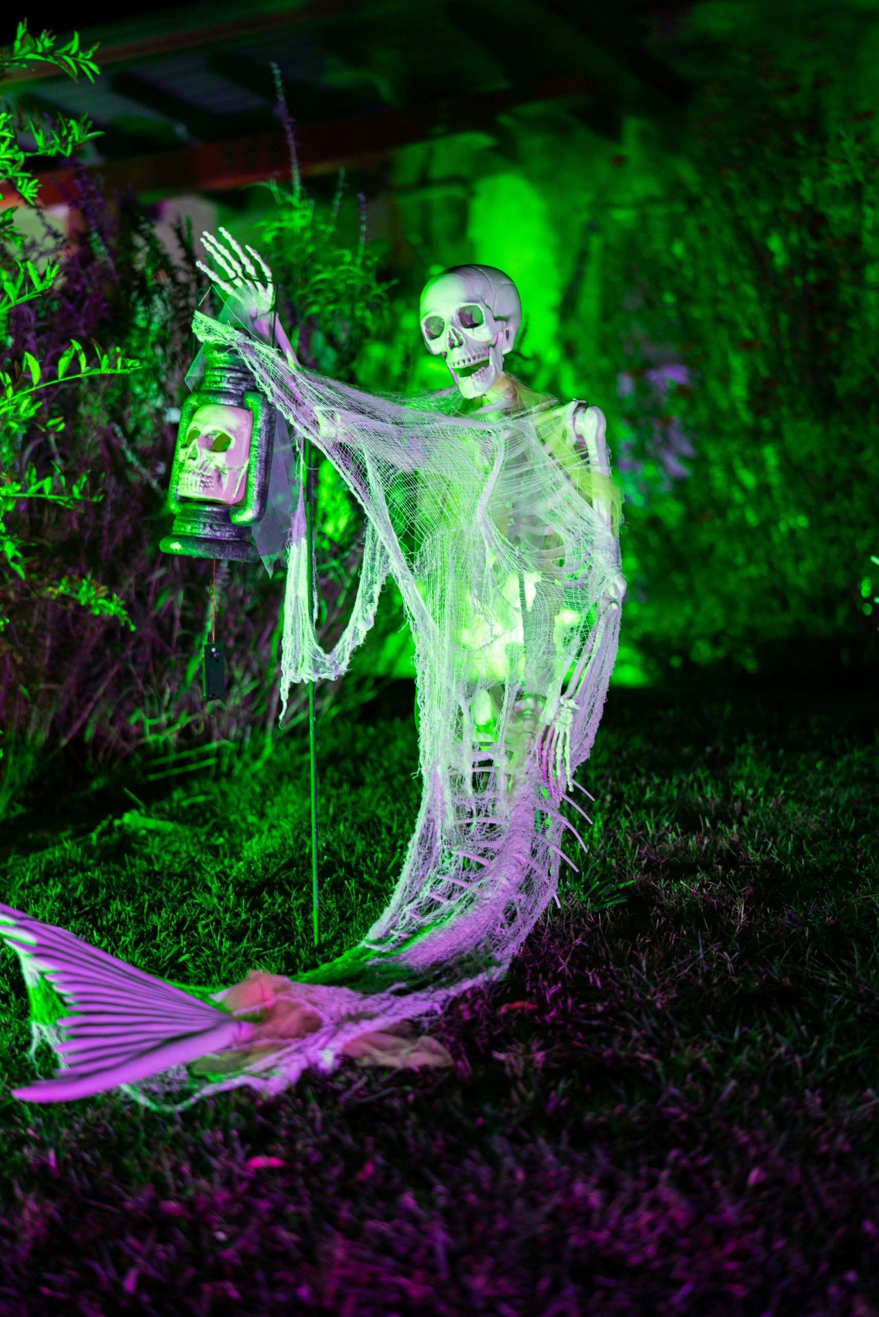 Skeleton mermaid with lantern in green and purple light