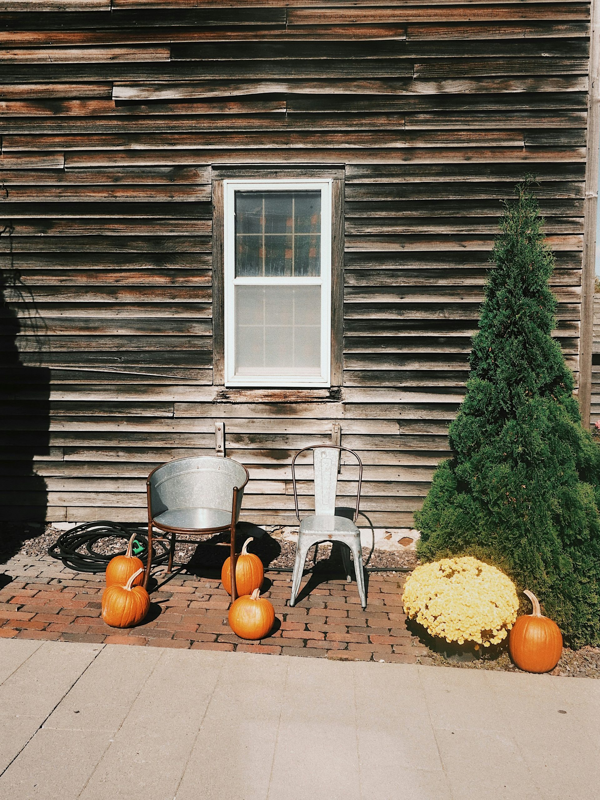 Taken in Amana Colonies, Iowa. A quiet autumn scene featuring metal chairs, pumpkins, and chrysanthemums against a rustic wooden wall. The textures and soft light evoke seasonal warmth and rural simpl