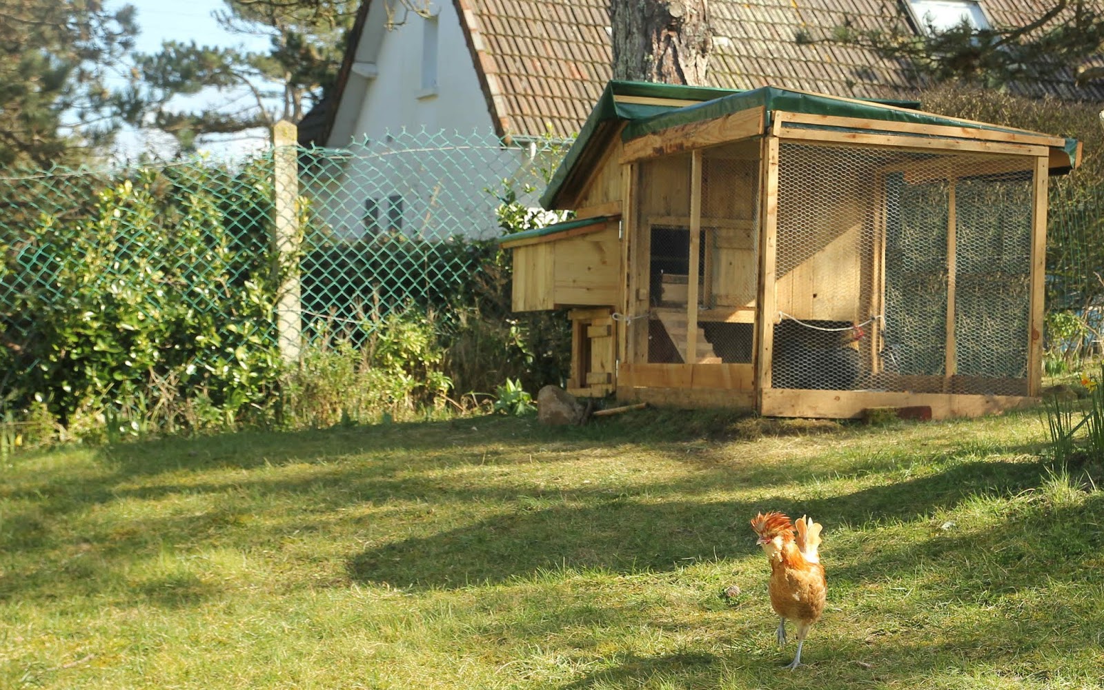The Green Lever - Using minimal resources for maximum quality of life: HEN HOUSES/CHICKEN COOPS