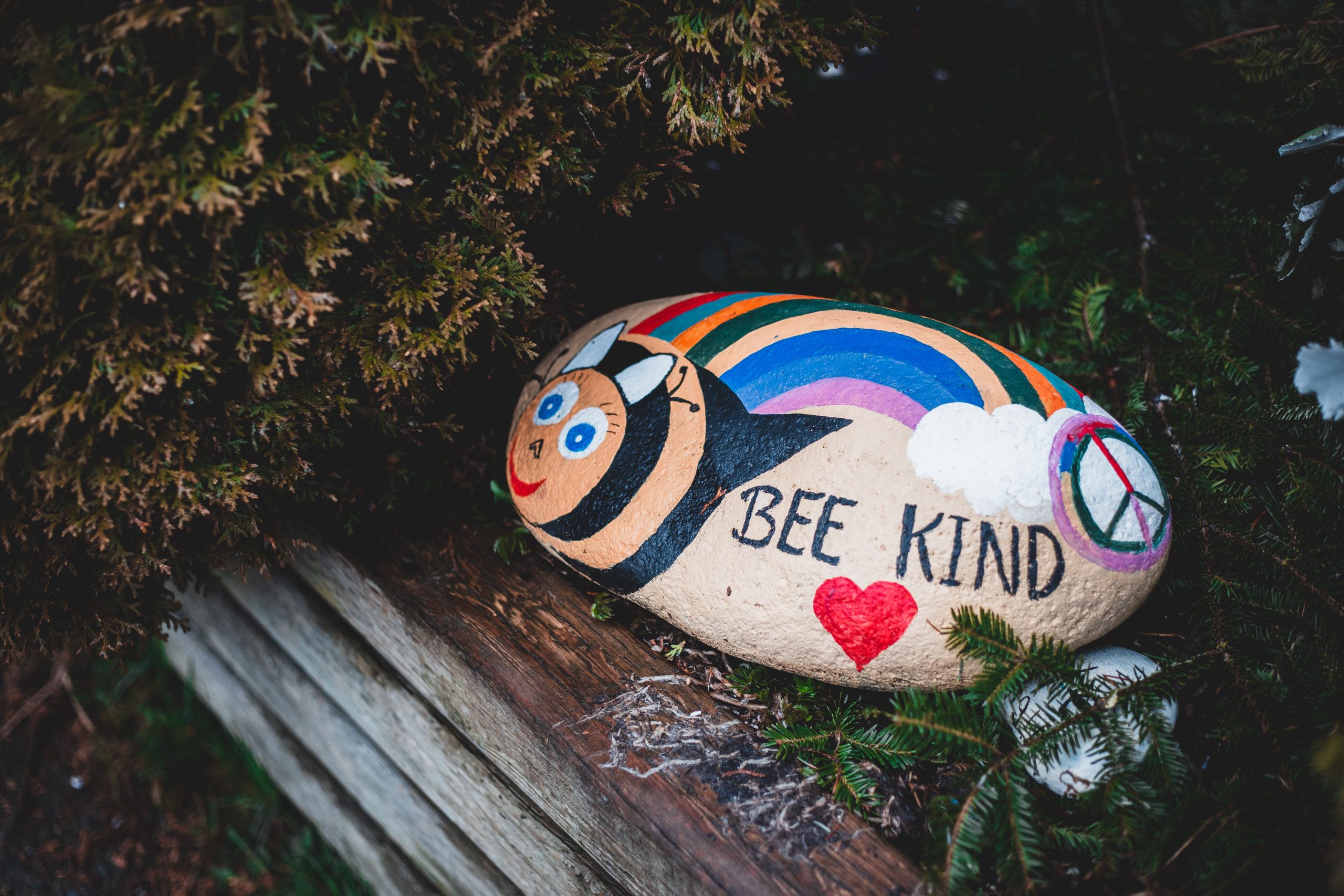 Top view of oval stone painted with bright colors and having be kind inscription placed near spruces