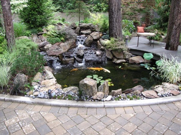 Water Garden Design: Creating Natural Waterscapes - Landscaping Network