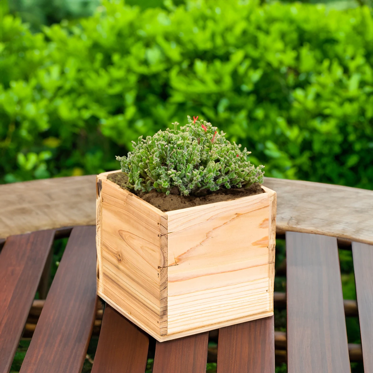 WCB0004NA - Natural Wood Planter Box - 4'