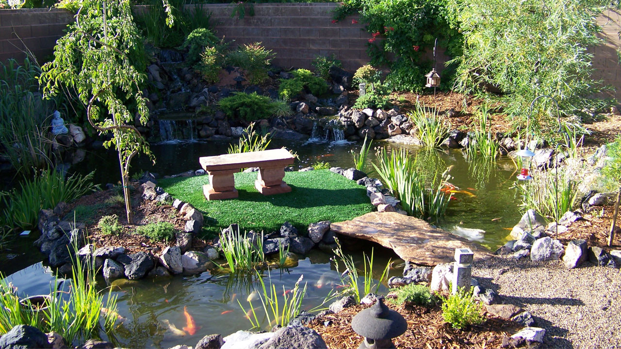 What a Backyard Pond Adds to an Outdoor Space