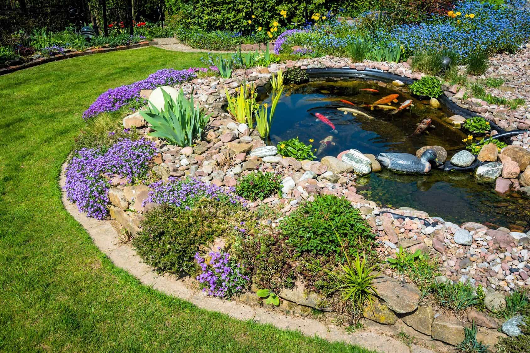 What Is A Koi Pond And How To Build Your Own (Best Setup Ideas) | Fishkeeping World