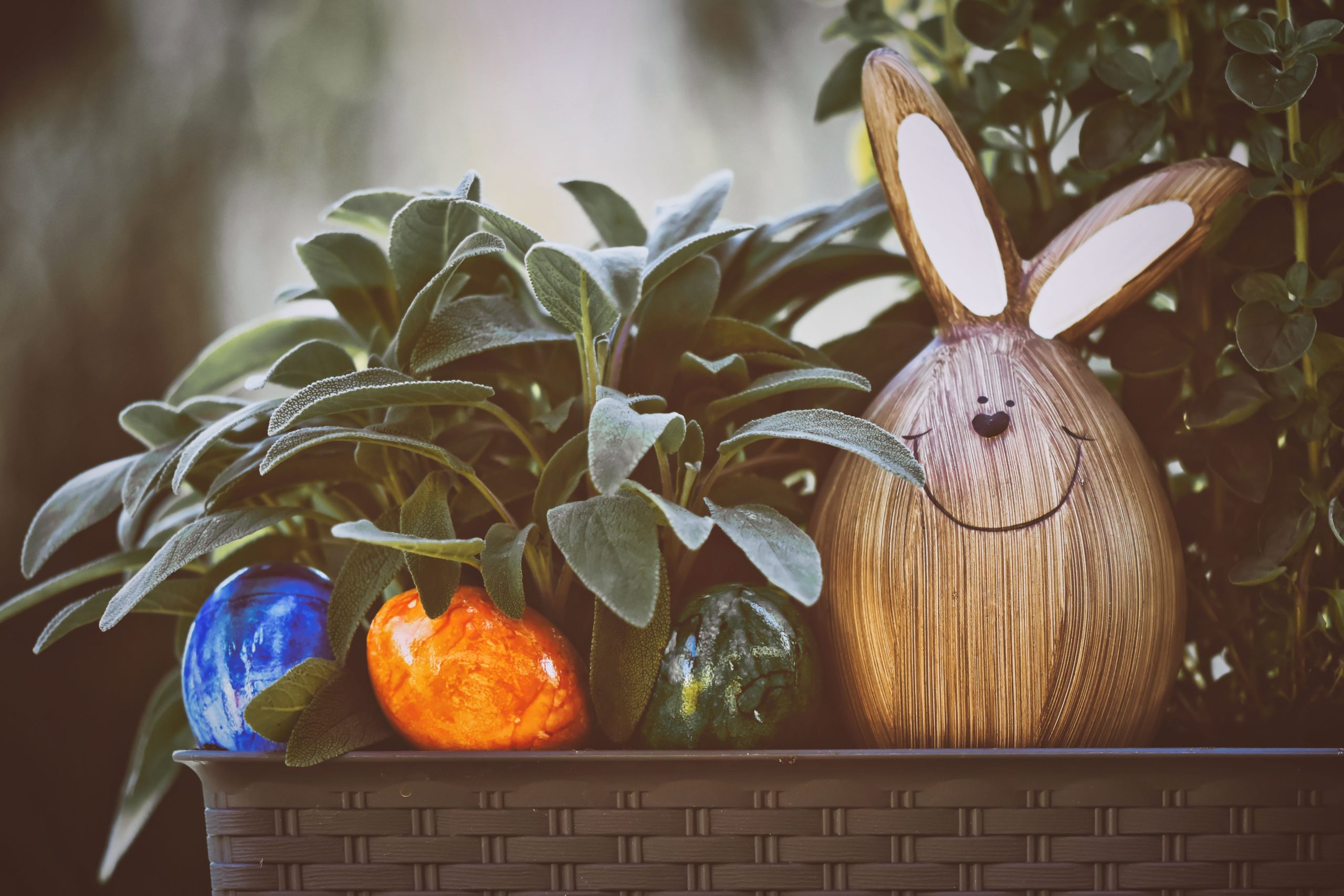 Wooden bunny and colorful Easter eggs nestled in plants for festive decor.