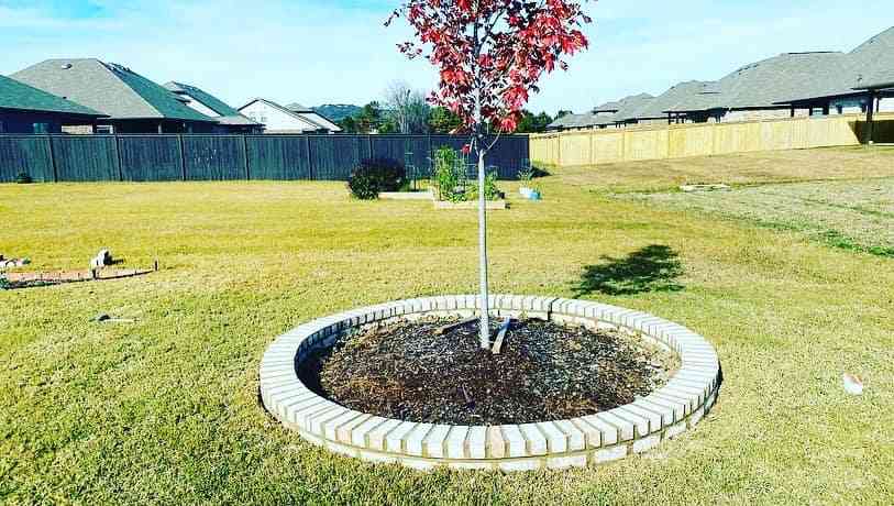 Yellow Jacket - Brick Flower Beds