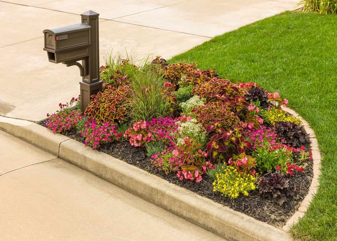 10 Mailbox Garden Ideas to Spruce Up Your Front Yard