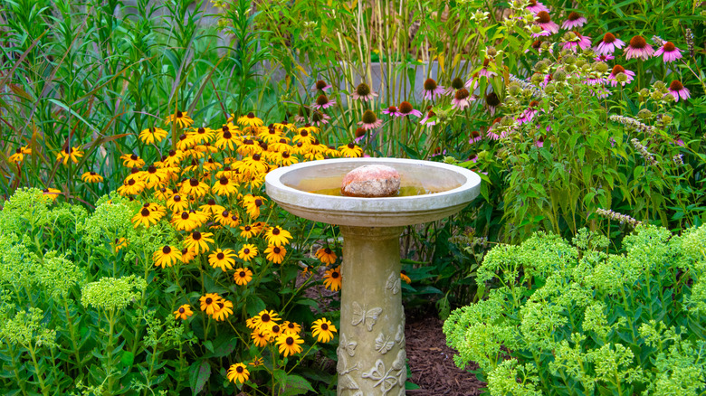 16 Underrated Water Features That Give Your Yard A Luxurious Touch