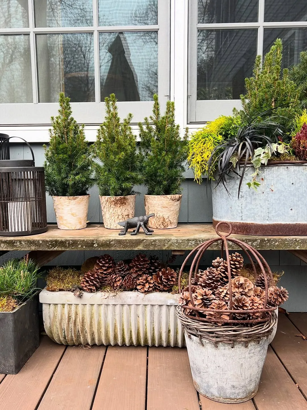 18 Container Garden Ideas for 2026 Where Planters Become the Structure of  the Backyard