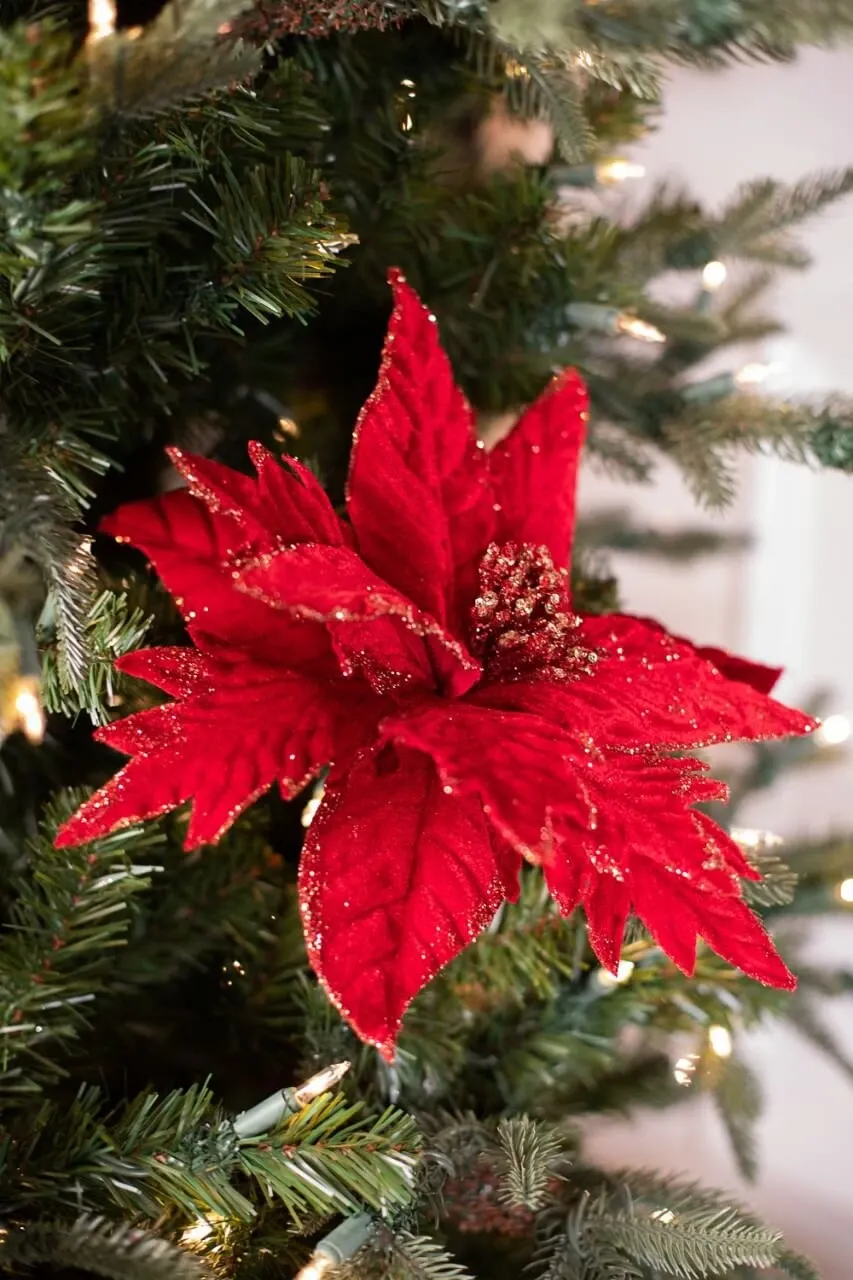 20” x 12' Red Velvet Gold Mix Glitter Poinsettia Stem
