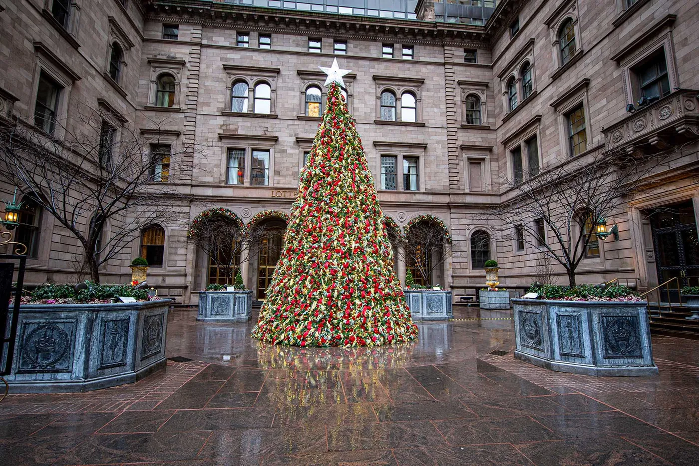 ▷ 21 STUNNING Christmas Trees in New York City 2026
