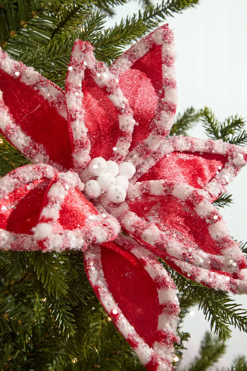22' Red & White Candy with Snow Glitter Poinsettia Stem