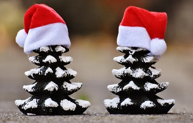 3 EASY Super Cute DIY Christmas Ornaments: Mother Nature Approved! – starrcreative