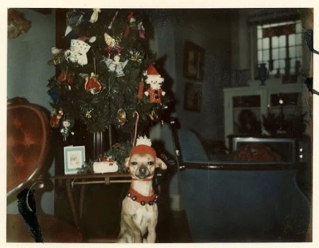 45 Vintage Photos That Show Christmas House Interiors in the 1950s and 1960s – Yesterday Today